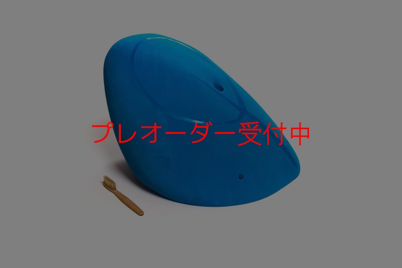画像1: CT Shape Rider Riverside 19 MEG/プレオーダー (1)