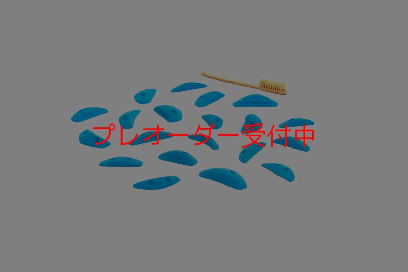 画像1: CT Boomerang Sydney XS1/プレオーダー (1)