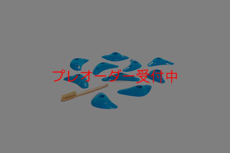 画像6: CT Boomerang Inertia/プレオーダー (6)