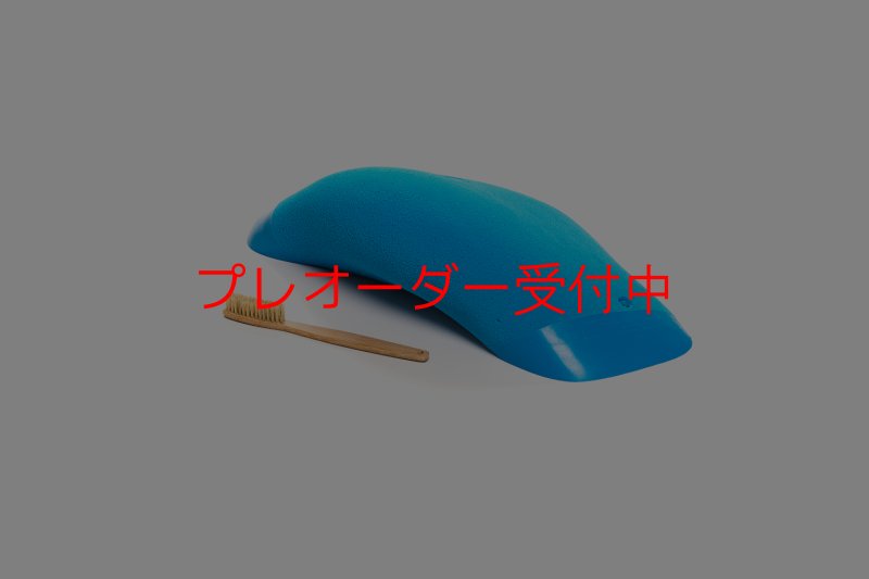 画像1: CT Boomerang Intuition mega 2/プレオーダー (1)