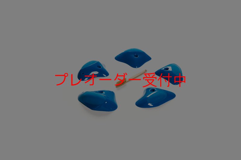 画像7: CT Shape Rider Sunside?9 XL/プレオーダー (7)