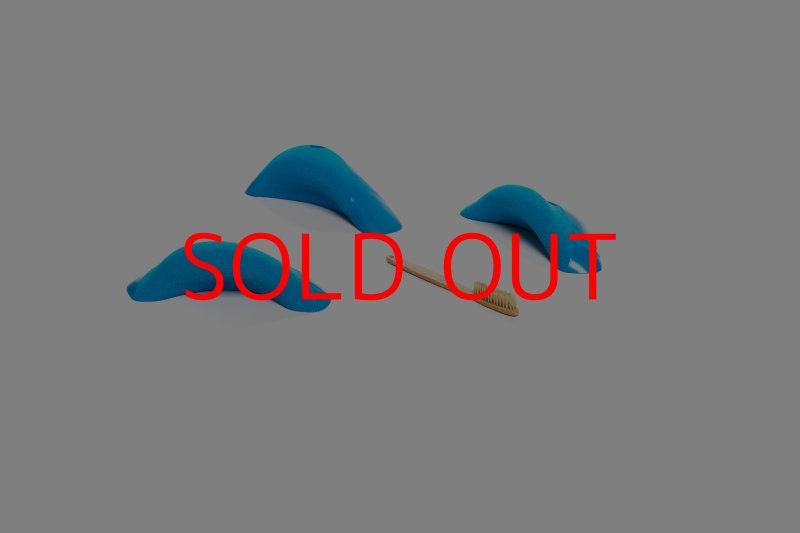 画像7: CT Boomerang Rarrk (7)