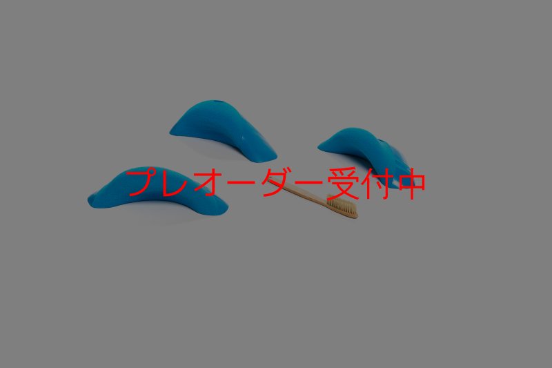 画像7: CT Boomerang Rarrk/プレオーダー (7)