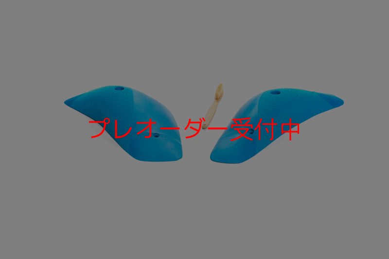 画像1: CT Boomerang Arbor XL2/プレオーダー (1)