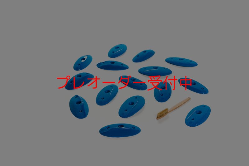 画像7: CT Shape Rider Riverside 6 M/プレオーダー (7)