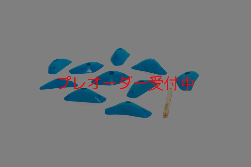 画像6: CT Boomerang Element/プレオーダー (6)