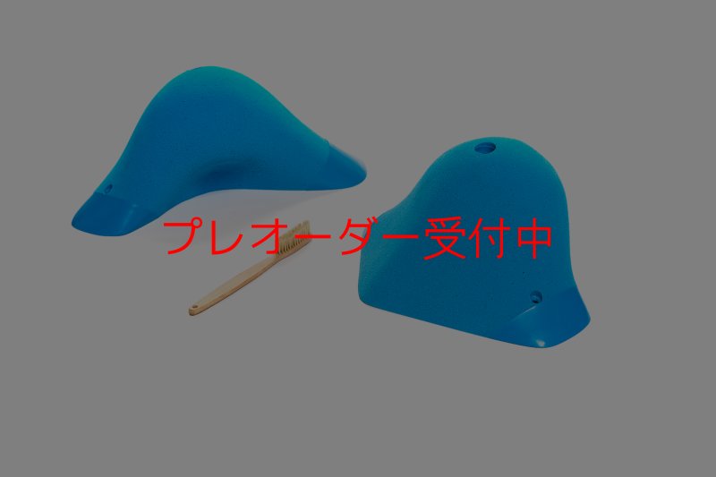 画像1: CT Boomerang Inuit XL1/プレオーダー (1)
