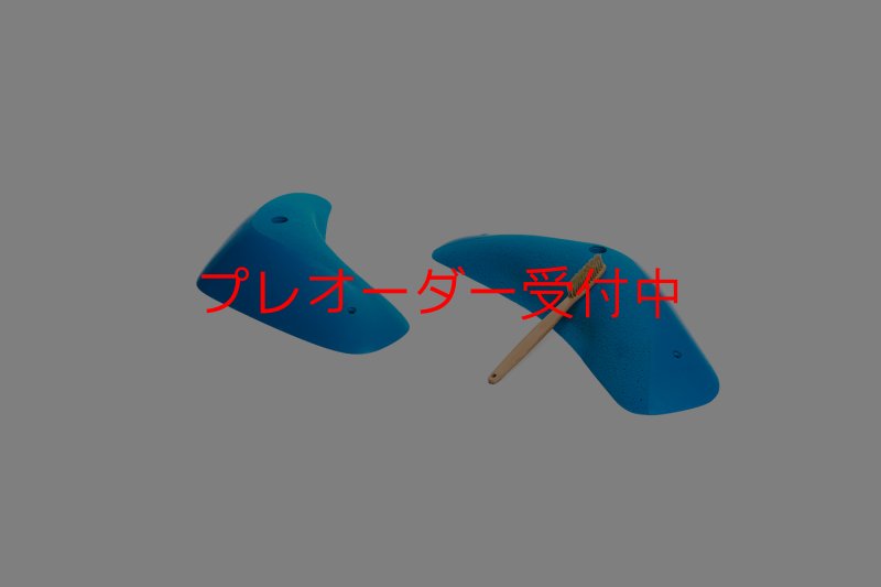 画像2: CT Boomerang Arbor XL1/プレオーダー (2)