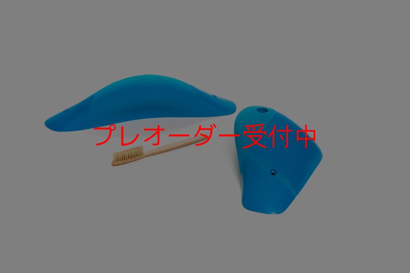 画像2: CT Boomerang Nomade XL1/プレオーダー (2)