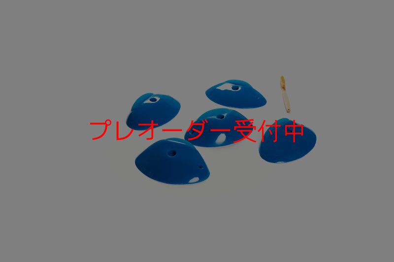 画像4: CT Shape Rider Sunside?4 L/プレオーダー (4)