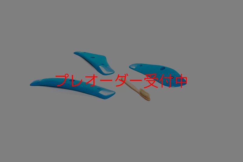 画像1: CT Boomerang Song L2/プレオーダー (1)