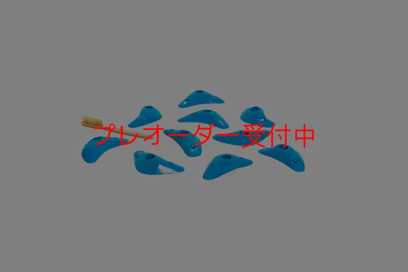 画像7: CT Boomerang Inertia/プレオーダー (7)