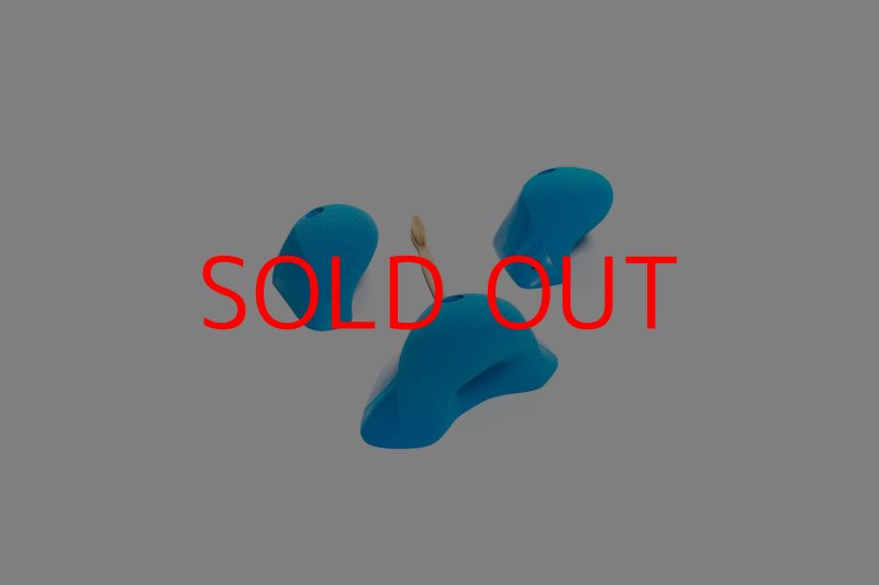 画像6: CT Boomerang Inuit L1 (6)