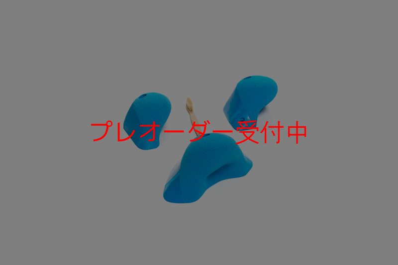 画像6: CT Boomerang Inuit L1/プレオーダー (6)