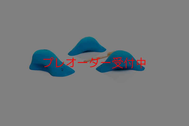 画像1: CT Boomerang Inuit L1/プレオーダー (1)