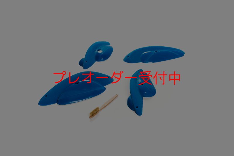 画像1: CT Shape Rider Sunside?13 XXL/プレオーダー (1)