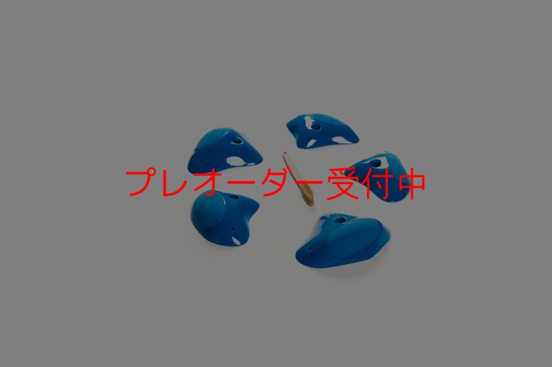 画像5: CT Shape Rider Sunside?9 XL/プレオーダー (5)