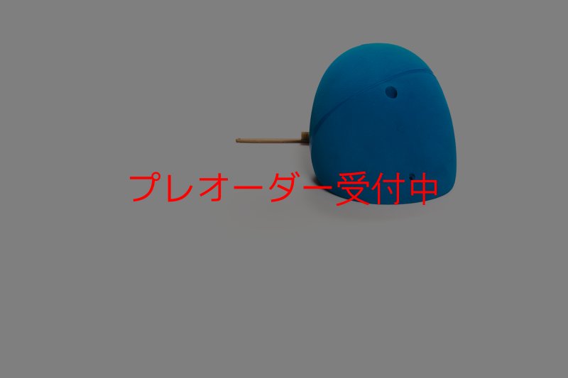 画像5: CT Shape Rider Riverside 16 XXL/プレオーダー (5)