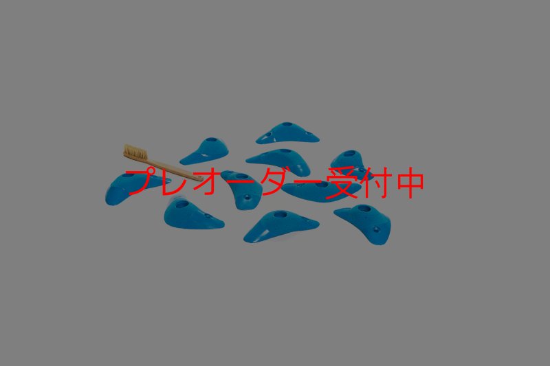 画像1: CT Boomerang Inertia/プレオーダー (1)
