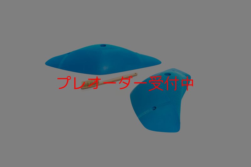 画像5: CT Boomerang Arbor XL2/プレオーダー (5)