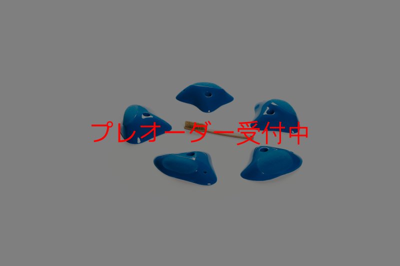画像2: CT Shape Rider Sunside?9 XL/プレオーダー (2)