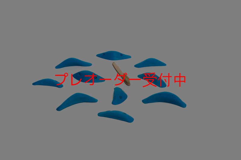 画像1: CT Boomerang Station/プレオーダー (1)