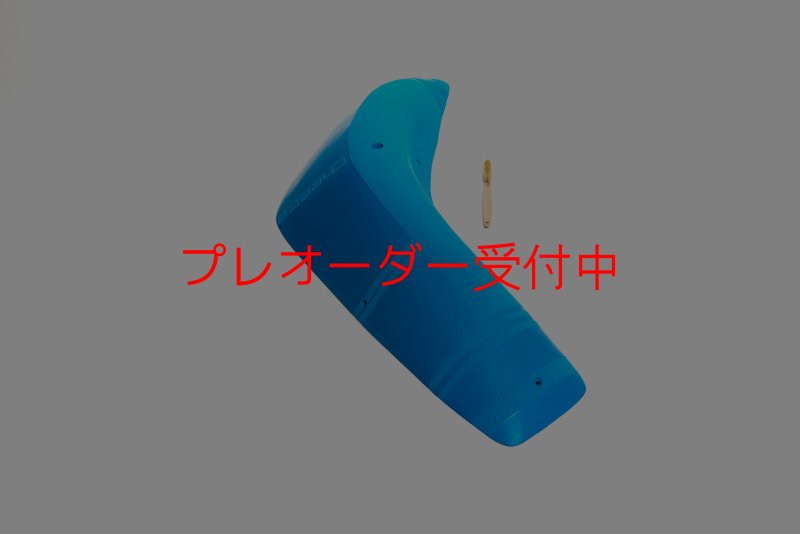 画像1: CT Boomerang Native/プレオーダー (1)