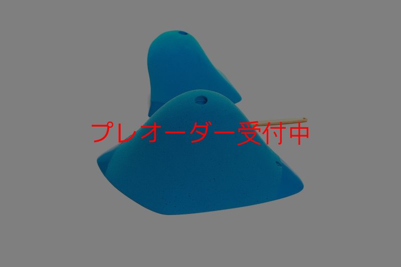 画像5: CT Boomerang Inuit XL1/プレオーダー (5)