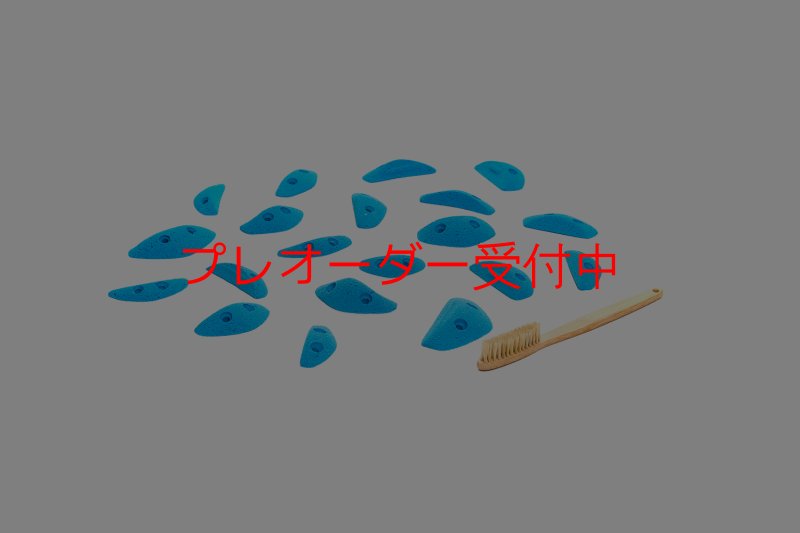 画像3: CT Boomerang Sydney XS1/プレオーダー (3)