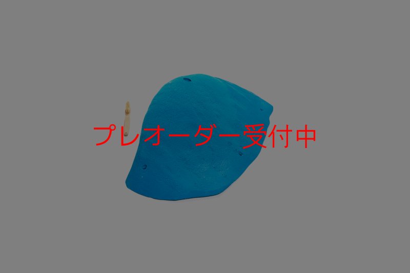 画像4: CT 2018 MEG 6/プレオーダー (4)