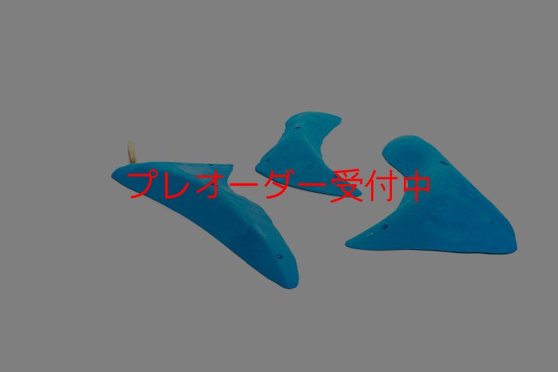画像4: CT 2018 XL 3/プレオーダー (4)