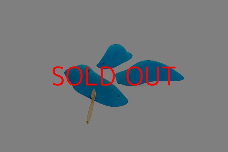 画像6: CT 2018 XL 4 (6)