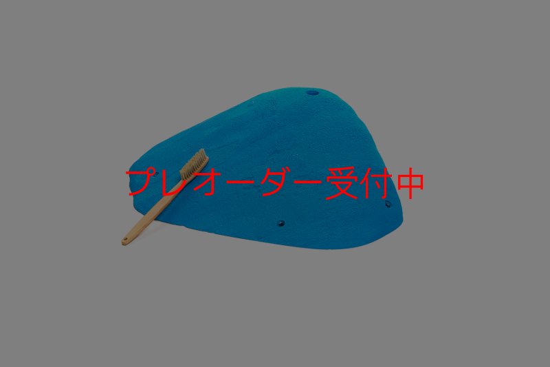 画像1: CT 2018 XXL 2/プレオーダー (1)