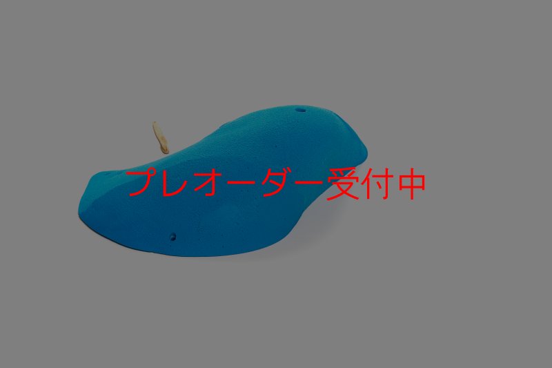 画像5: CT 2018 MEG 3/プレオーダー (5)
