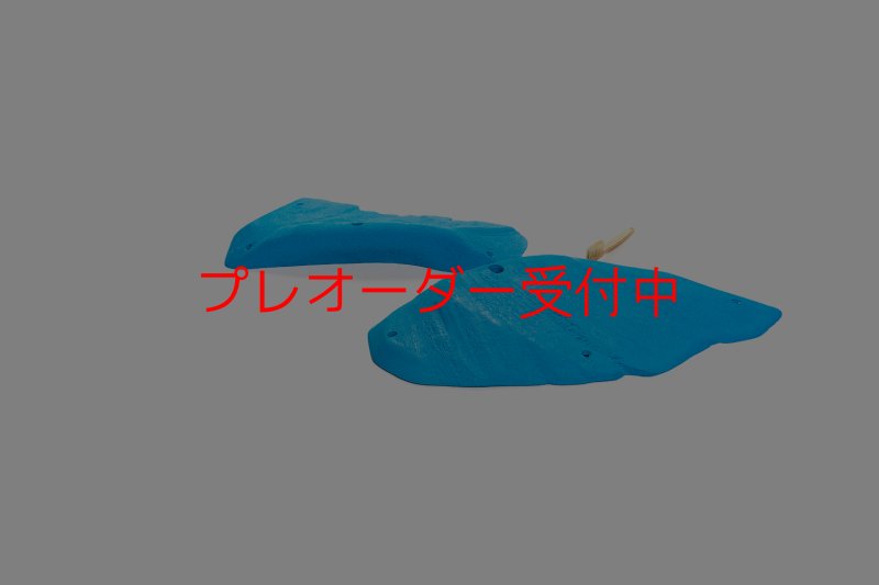 画像5: CT 2018 XL 1/プレオーダー (5)