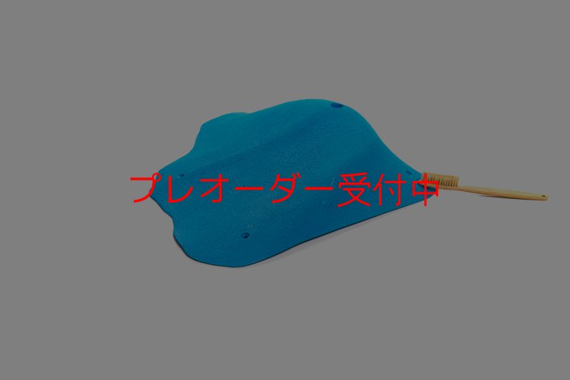 画像4: CT 2018 XXL 5/プレオーダー (4)