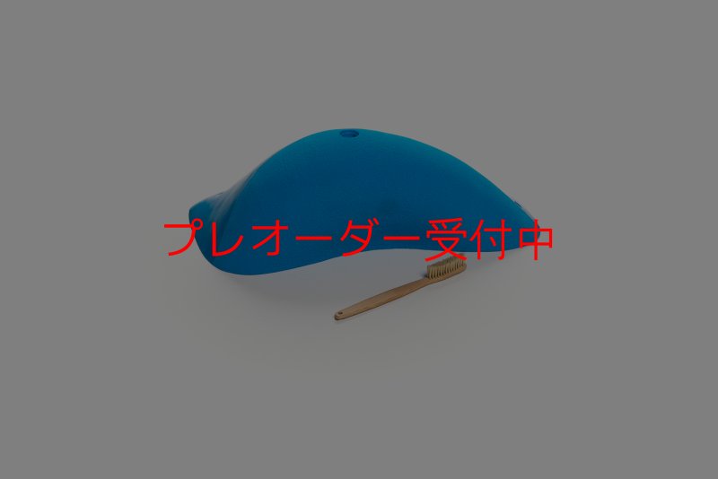 画像6: CT Wave Shirahama/プレオーダー (6)