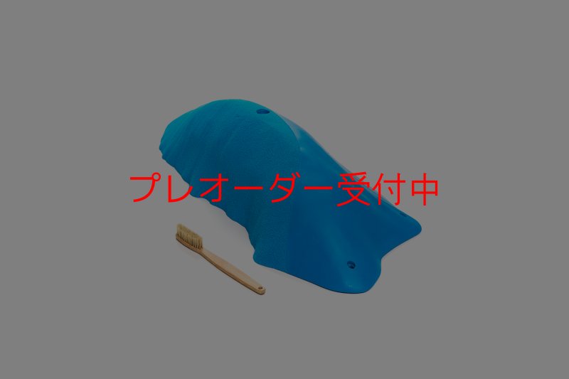 画像1: CT Wave Hawa?/プレオーダー (1)