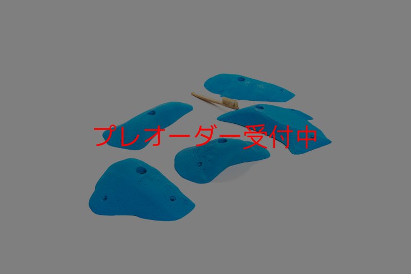 画像4: CT 2018 L 4/プレオーダー (4)