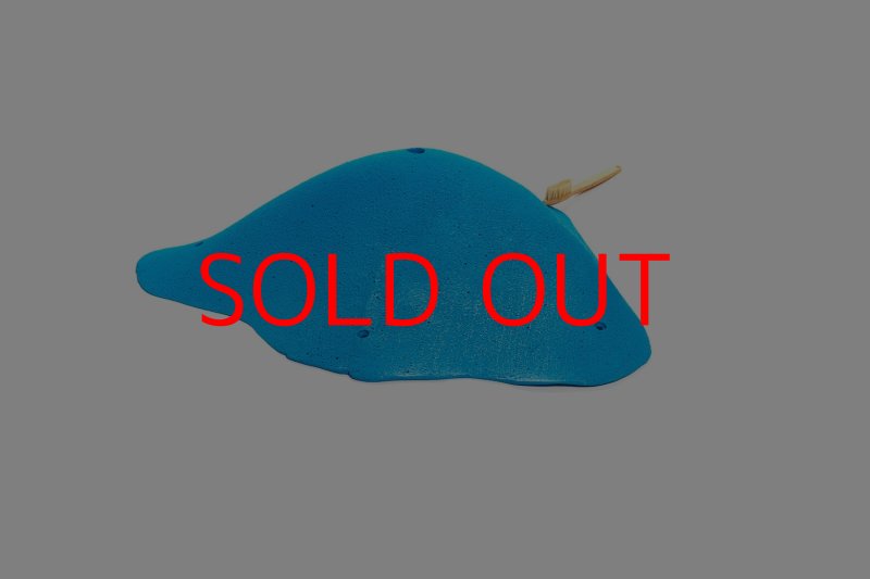 画像3: CT 2018 XXL 5 (3)