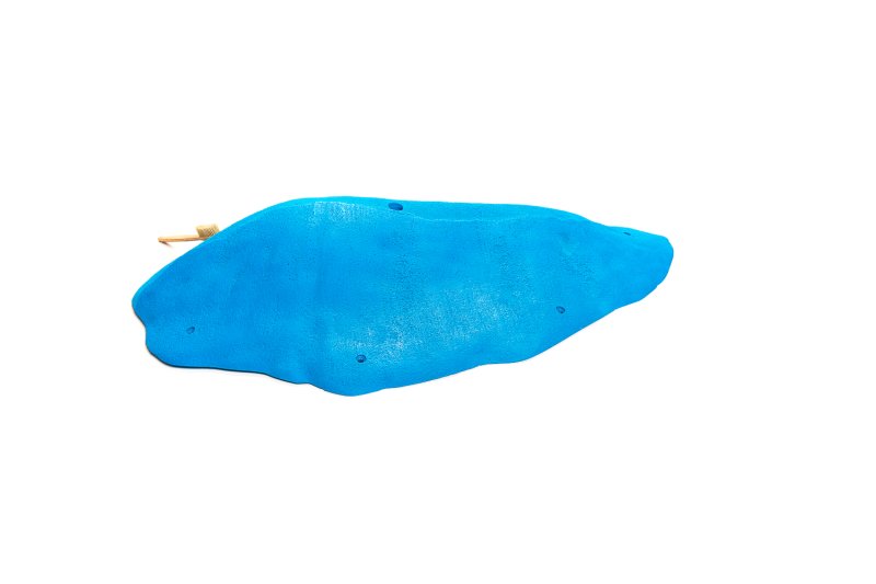 画像3: CT 2018 MEG 7 (3)