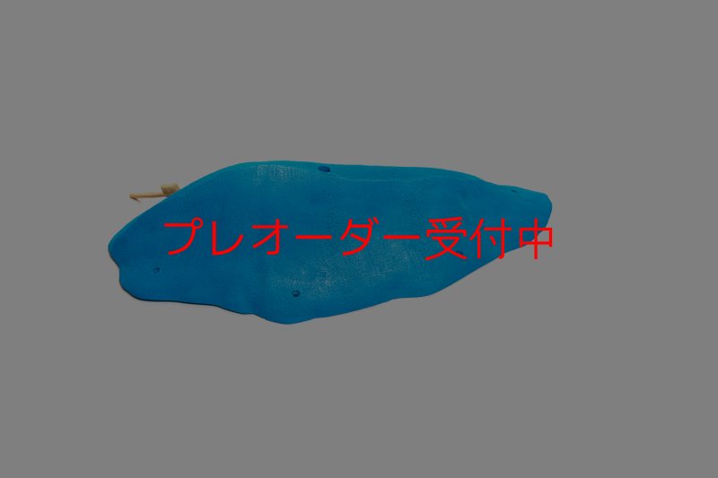 画像3: CT 2018 MEG 7/プレオーダー (3)