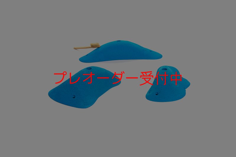 画像4: CT 2018 L 1/プレオーダー (4)