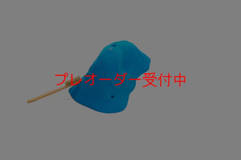 画像1: CT 2018 XXL 6/プレオーダー (1)