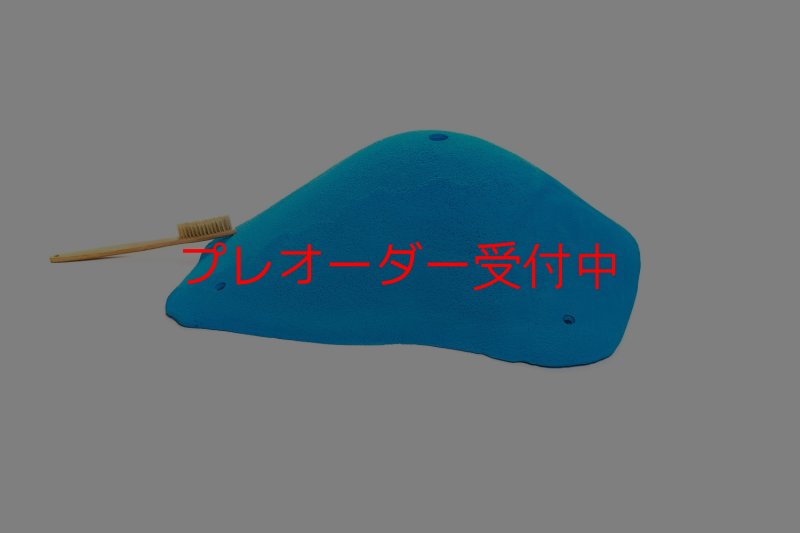 画像2: CT 2018 XXL 1/プレオーダー (2)