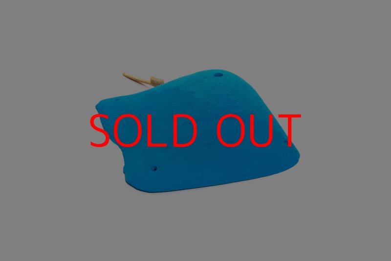 画像3: CT 2018 XXL 1 (3)