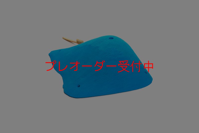 画像3: CT 2018 XXL 1/プレオーダー (3)