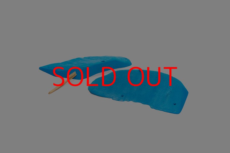 画像2: CT 2018 XL 1 (2)