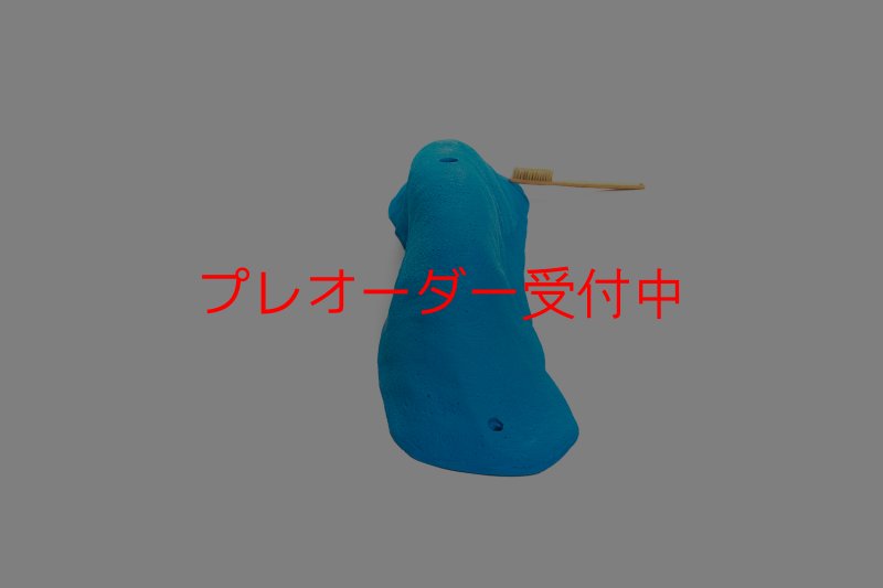 画像5: CT 2018 MEG 9/プレオーダー (5)