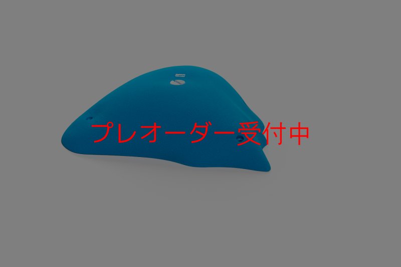 画像6: CT Wave Belharra/プレオーダー (6)